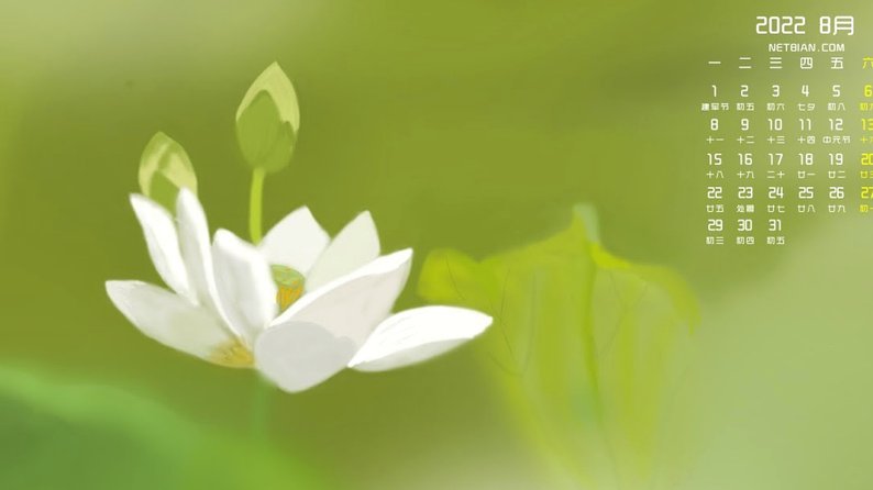 花呗用得是否安全？风险点和应对指南全了解