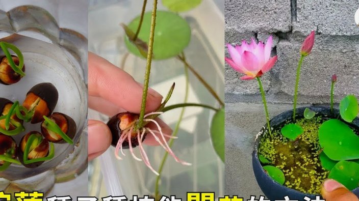 揭秘花呗资金流转的隐秘通道