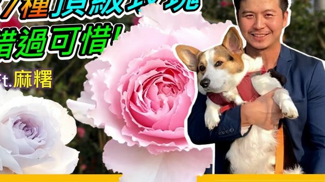 花现在哪取，借款出路