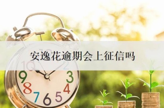 秒用花会查征信吗？