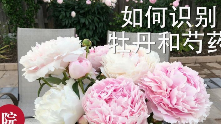 花呗套现方法与潜在风险