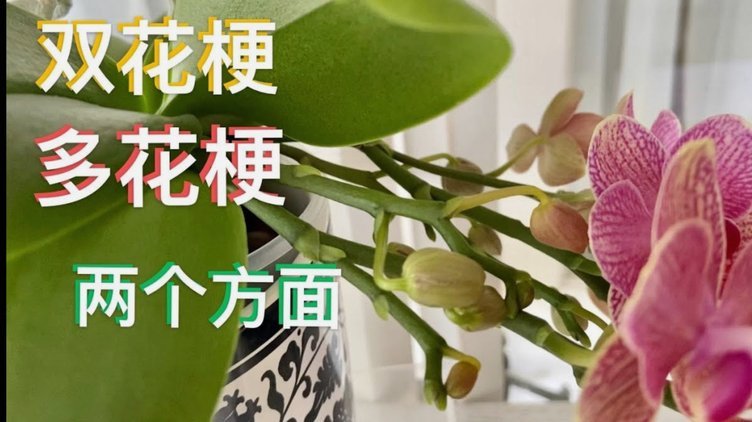 套现花呗的风险与后果
