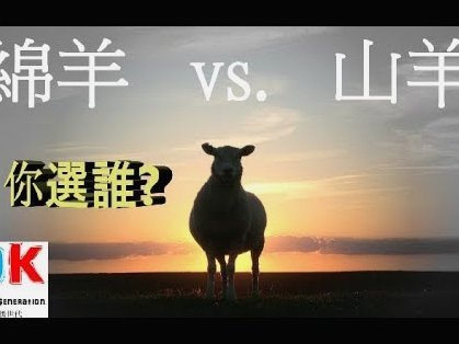 羊小咩正规吗？多方考量见分晓
