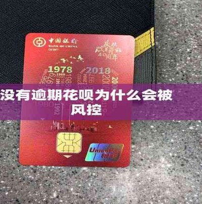 拆解“花呗秒到账”背后的风控逻辑与秘密
