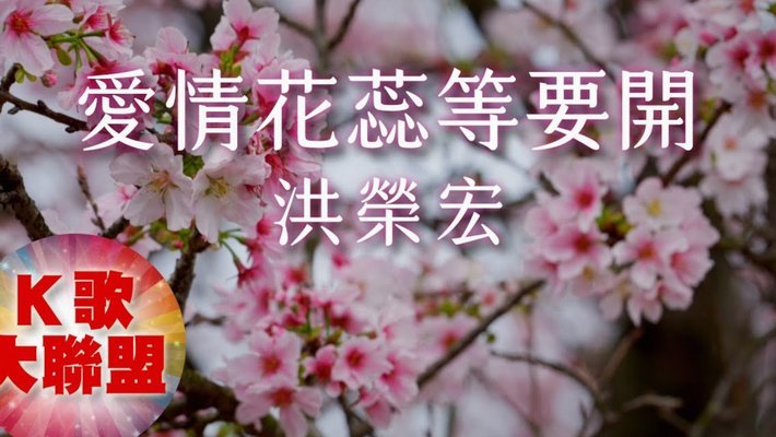 额度虽在手，实际却难用