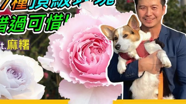 拿去花取现有额度取不出来