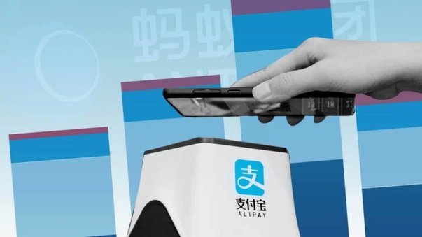海鸥花呗套现：风险与收益几何？