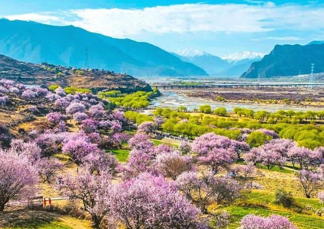 花呗：重塑消费的信用利器？