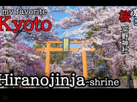 花呗平台