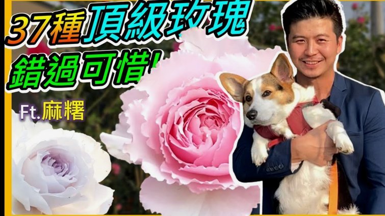 拿去花取现在哪里还款
