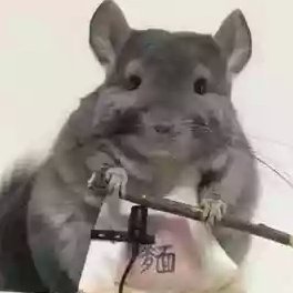 拿去花套现安全吗？官方叫停后的思考