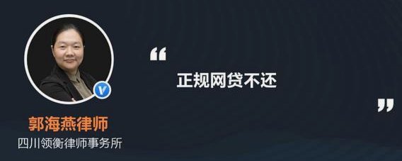 海鸥网贷真实体验：便捷与风险并存