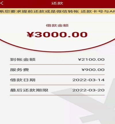 海鸥网贷怎么样