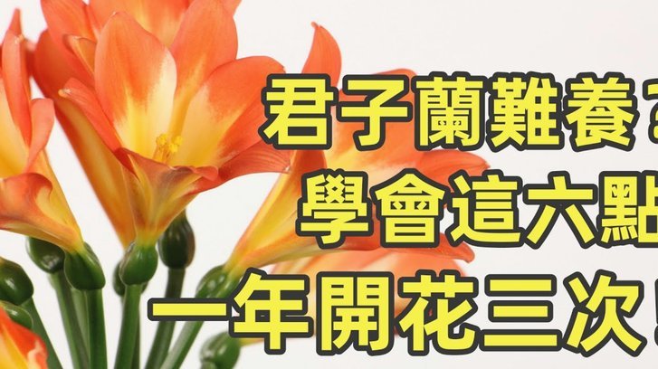 破解花呗难题：理性消费与监管共治
