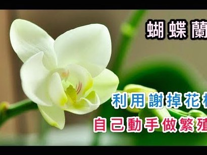 花呗现象 怎么消除