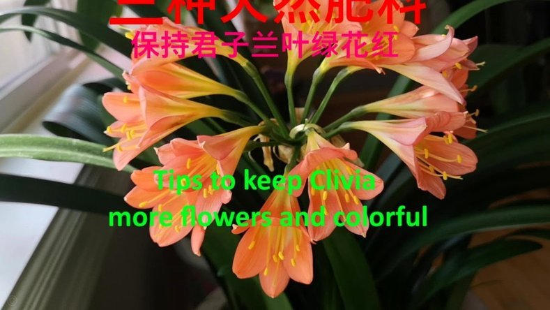 花呗现象 怎么消除