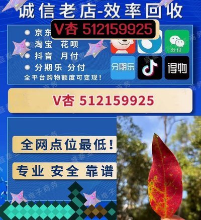 如何合法巧妙地获取白条额度
