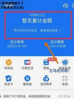 花呗平台：重构信用消费生态