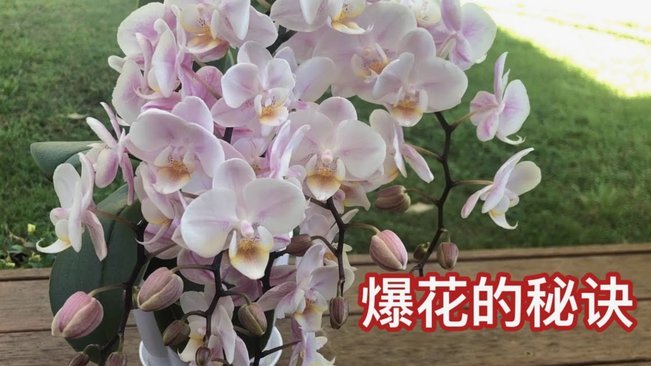 拿去花卡怎么用