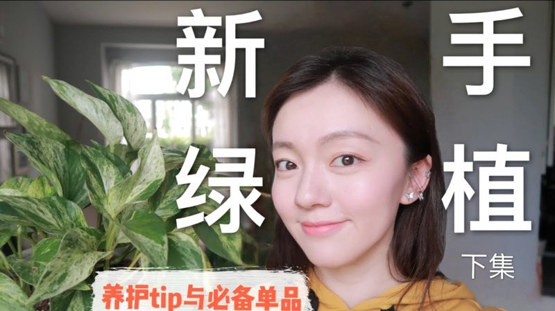 羊小花是正规平台贷款