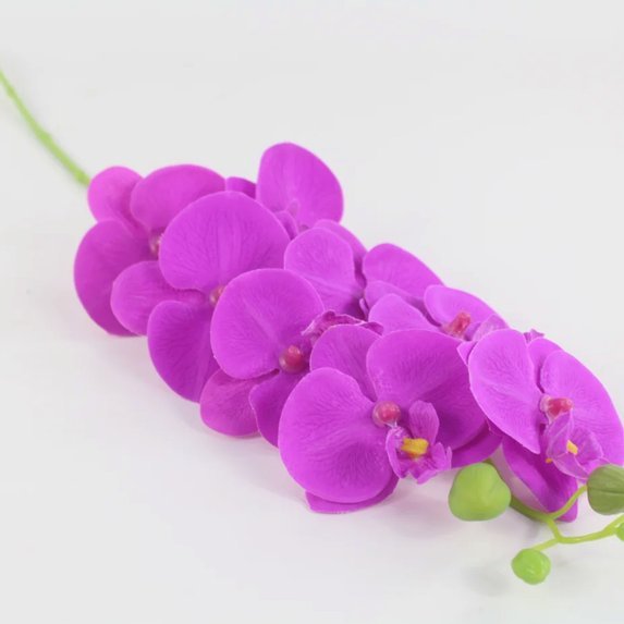 风控花呗淘宝能用吗