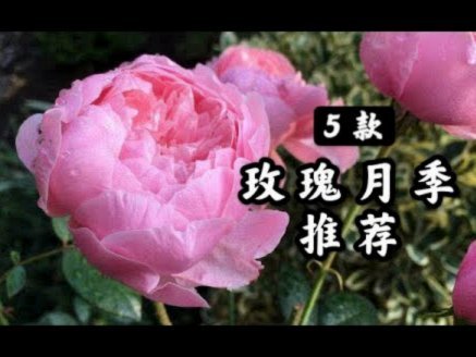 花呗出现了什么问题