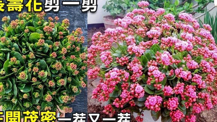 拿去花套现最简单方法