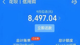 套花呗啥意思?