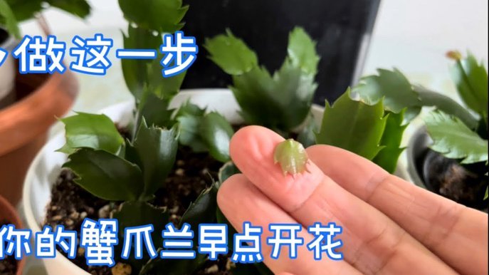 去哪儿拿去花不还有什么后果