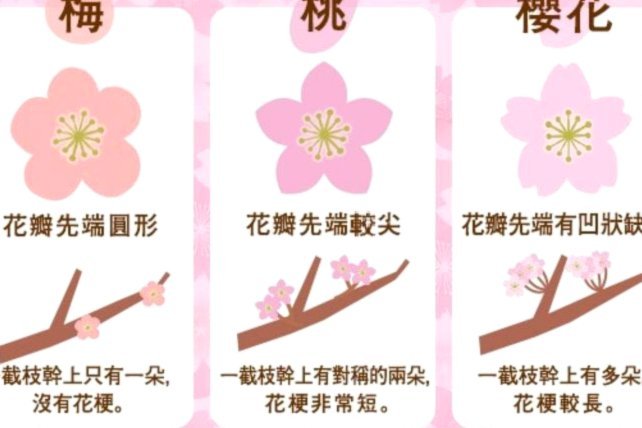 为什么花卡提现总是失败？金融卡背后的秘密揭秘