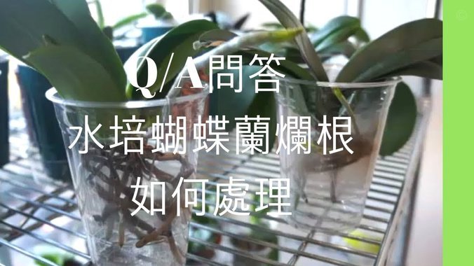 拿去花取现的三大禁忌
