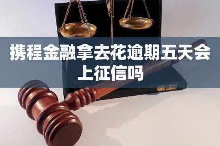 携程拿去花怎么提前还款？保姆级操作指南！