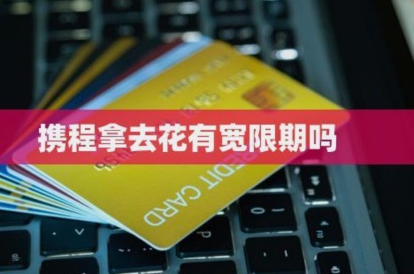 携程拿去花怎么提前一次性还款