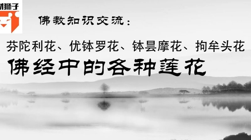 秒花是什么意思