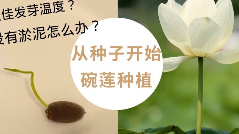 拿去花套现回收商家违法吗