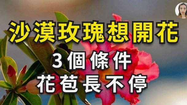 破解资源耗散：认知重构指南