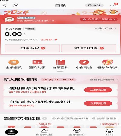 白条加油额度啥意思
