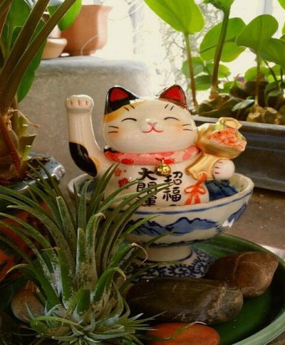天猫花呗：省钱攻略与使用技巧