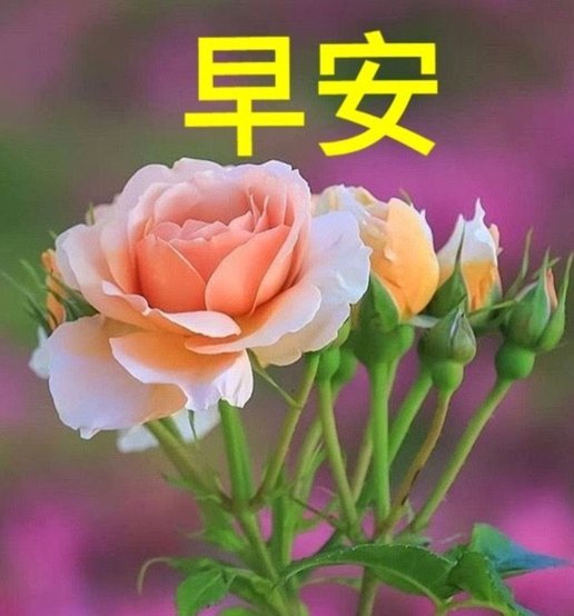 套现花呗合法吗安全吗