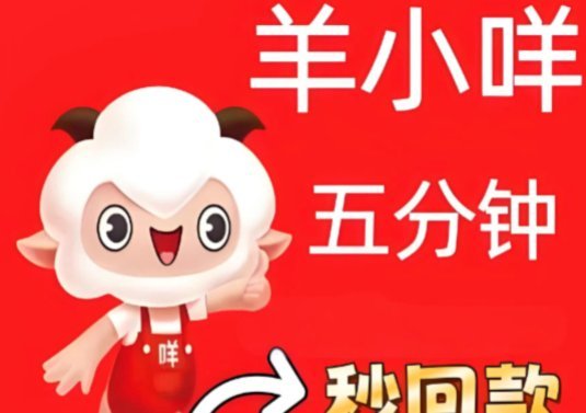 正确使用羊小咩便荔卡包发放优惠券的方法