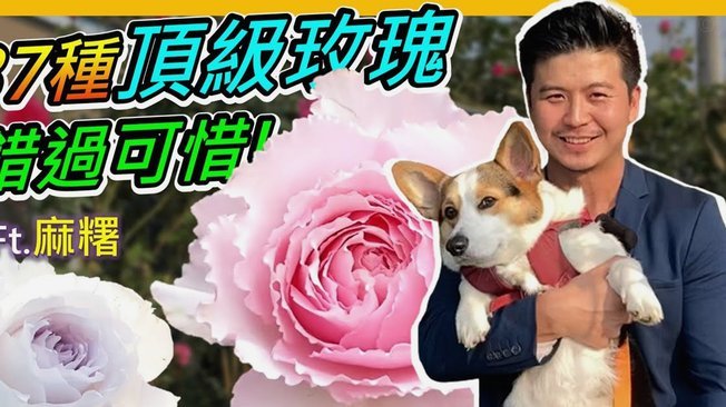 花呗如何提现？超详细教程手把手教你取出余额