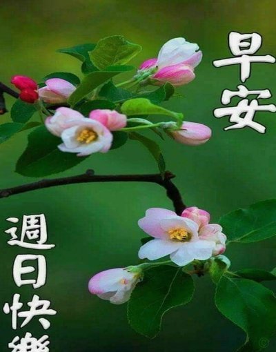花呗套现手续费高吗？安全吗