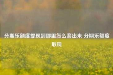 分期乐额度难提？深层原因大揭秘