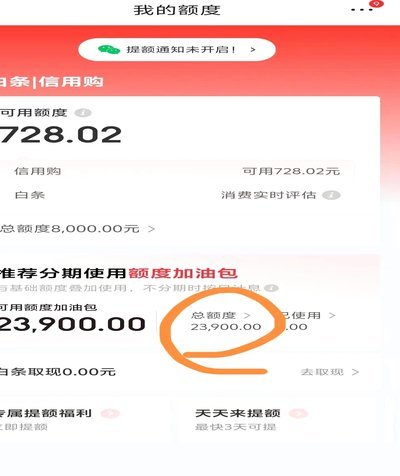 白条加油包：如何灵活运用你的额外额度