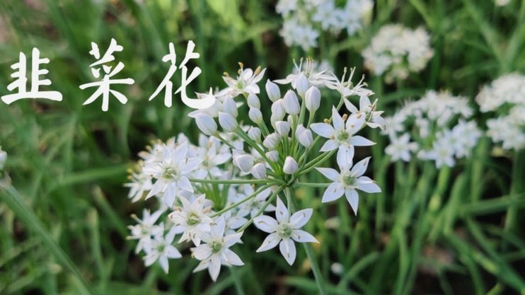 “拿去花”真的能取现吗？看完别再信谣！