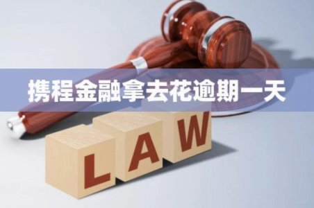 携程拿去花可以购物吗